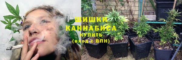 соль ск Арсеньев