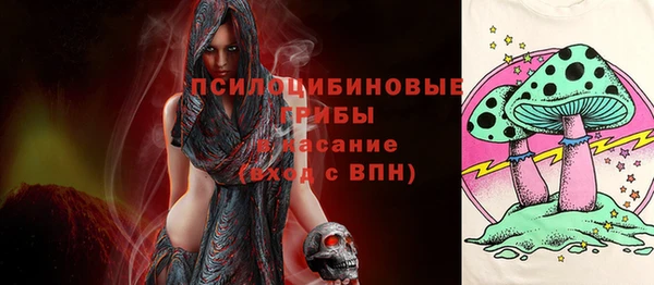 соль ск Арсеньев